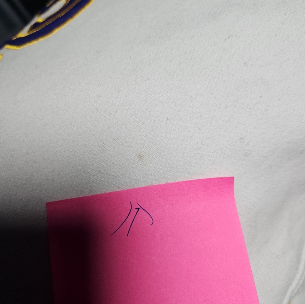 Used in Good Condition As is LAKERS STITCHED ORIGINAL HOODIE 3XL - Picture 12 of 16